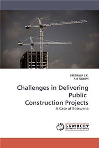 Challenges in Delivering Public Construction Projects