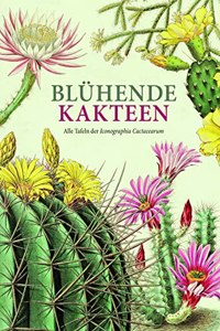 Bluhende Kakteen