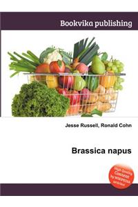 Brassica Napus