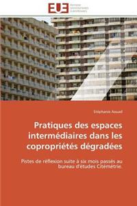 Pratiques Des Espaces Intermédiaires Dans Les Copropriétés Dégradées