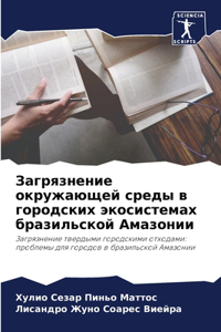 Загрязнение окружающей среды в городски