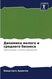 Динамика малого и среднего бизнеса
