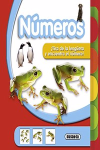 Numeros/ Numbers