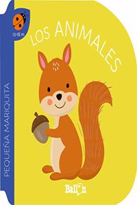 PEQUENA MARIQUITA . LOS ANIMALES