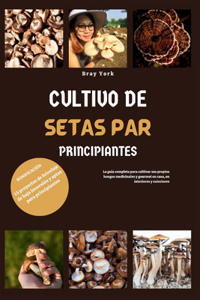Cultivo de Setas Para Principiantes