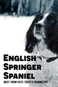 English Springer Spaniel