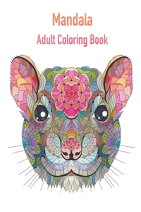 Mandala Adult Coloring Book