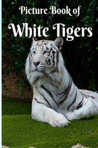Picture Book Of The White Tiger
