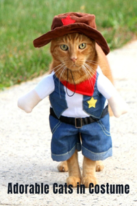 Adorable Cats in Costume