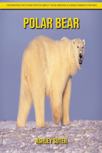 Polar bear