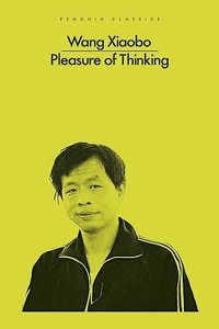 The Pleasure of Thinking