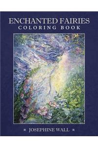 Enchanted Fairies Coloring Book