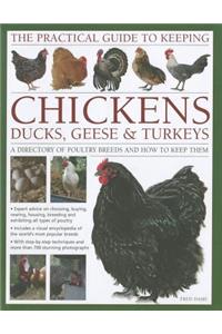 The Practical Guide to Keeping Chickens, Duck, Geese & Turkeys