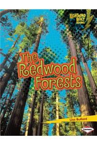 The Redwood Forests