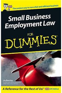 Small Business Employment Law for Dummies