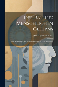 Bau Des Menschlichen Gehirns