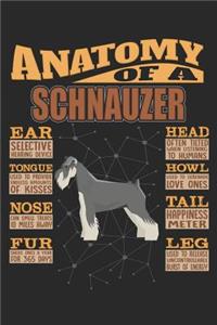 Anatomy Of A Schnauzer
