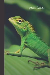 Green Lizard