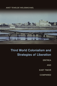 Third World Colonialism and Strategies of Liberation