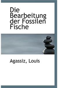 Die Bearbeitung Der Fossilen Fische