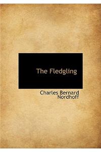 The Fledgling