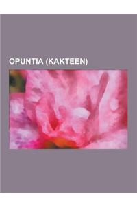 Opuntia (Kakteen): Opuntien, Opuntia Humifusa, Opuntia Echios, Opuntia Ficus-Indica, Opuntia Elatior, Opuntia Stricta, Opuntia Engelmanni