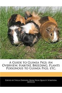 A Guide to Guinea Pigs