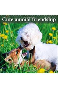 Cute Animal Friendship 2017