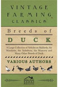 Breeds of Duck - A Large Collection of Articles on Mallards, the Mandarin, the Aylesbury, the Muscovy and Many Other Breeds of Duck