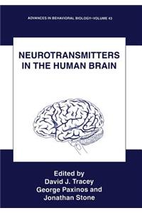 Neurotransmitters in the Human Brain