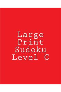 Large Print Sudoku Level C