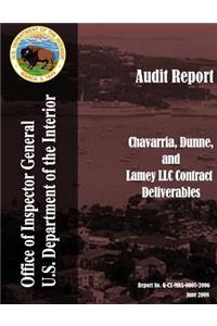 Audit Report