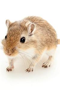 Gerbil Notebook & Journal. Productivity Work Planner & Idea Notepad
