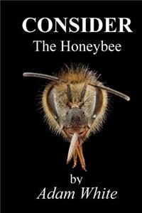 Consider The Honeybee