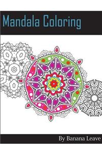 Mandala Coloring Book; 25 Designs and Stress Relieving Patterns for Adult Relaxation, Meditation, and Mindfulness