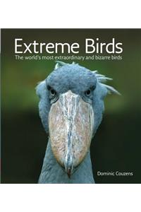 Extreme Birds