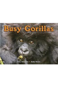 Busy Gorillas