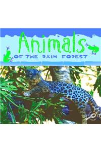 Animals of the Rain Forest