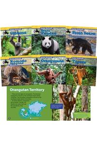 Asian Animals (Set)