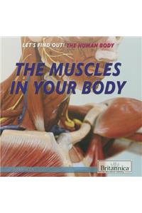 The Muscles in Your Body