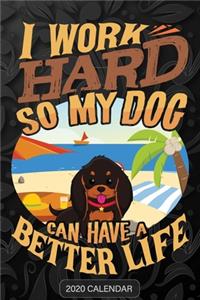 I Work Hard So My Dog Can Have A Better Life
