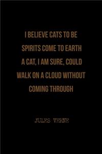 I Believe Cats To Be Spirits Come To Earth. A Cat, I Am Sure, Could Walk On A Cloud Without Coming Through
