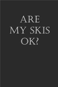 Are My Skis Ok?