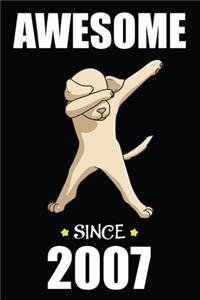 13th Birthday Dabbing Dog