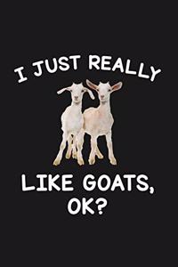 I Just Really Like Goats Ok