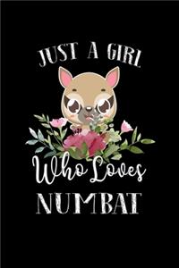 Just a Girl Who Loves Numbat