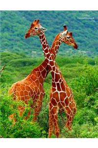 Giraffes Unruled Notebook