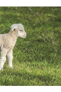 Sheep Notebook Large Size 8.5 x 11 Ruled 150 Pages Softcover