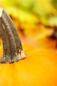 2019 Daily Planner Autumn Design Fall Pumpkin 384 Pages