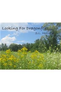 Looking for Dragonflies